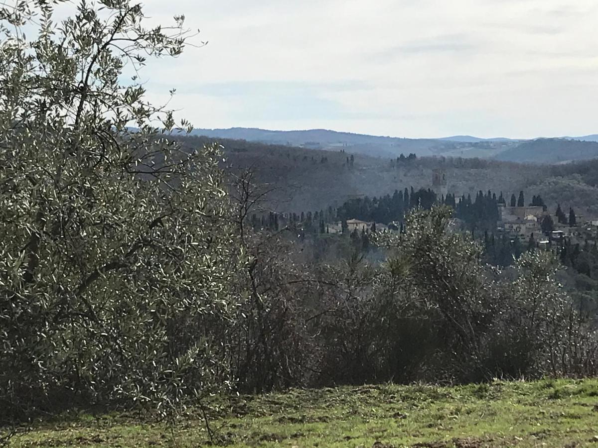 Appartement Il Fiorino Di Badia *