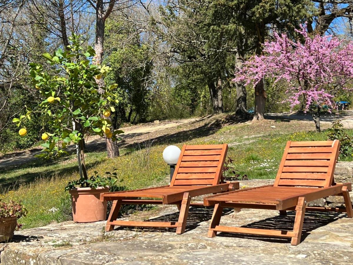 Appartement Il Fiorino Di Badia *