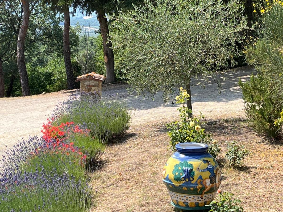 Il Fiorino Di Badia *