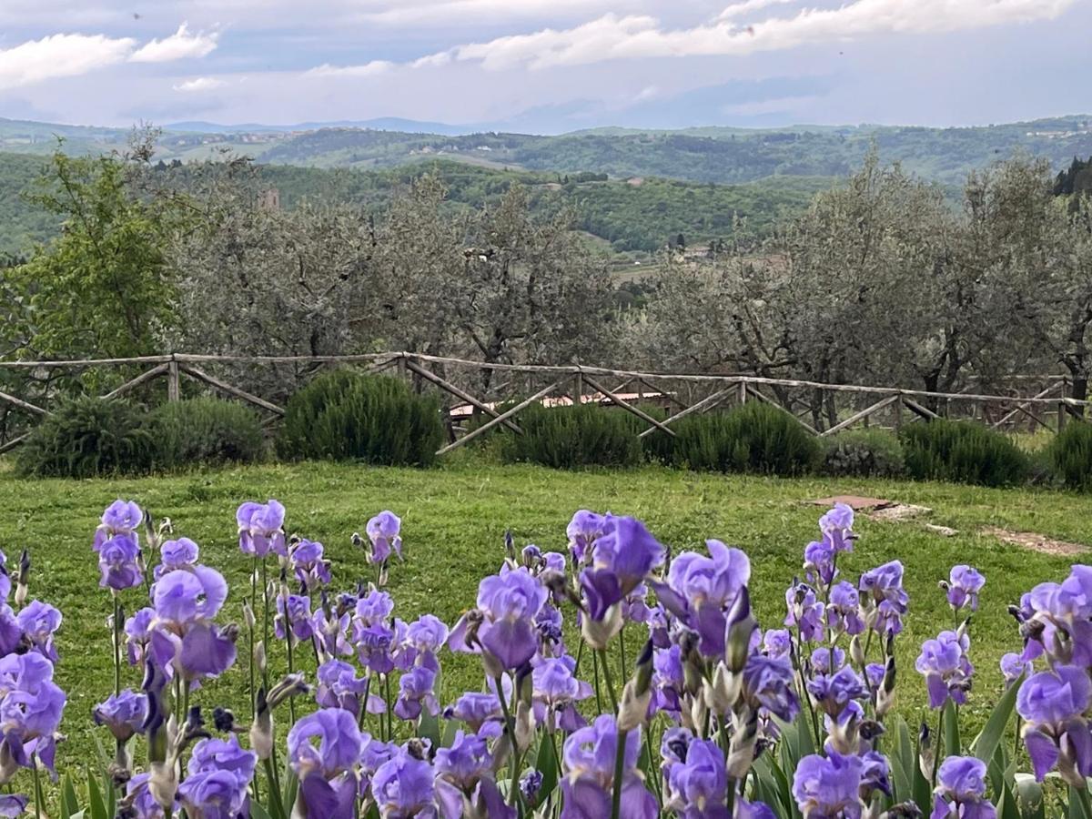Il Fiorino Di Badia *