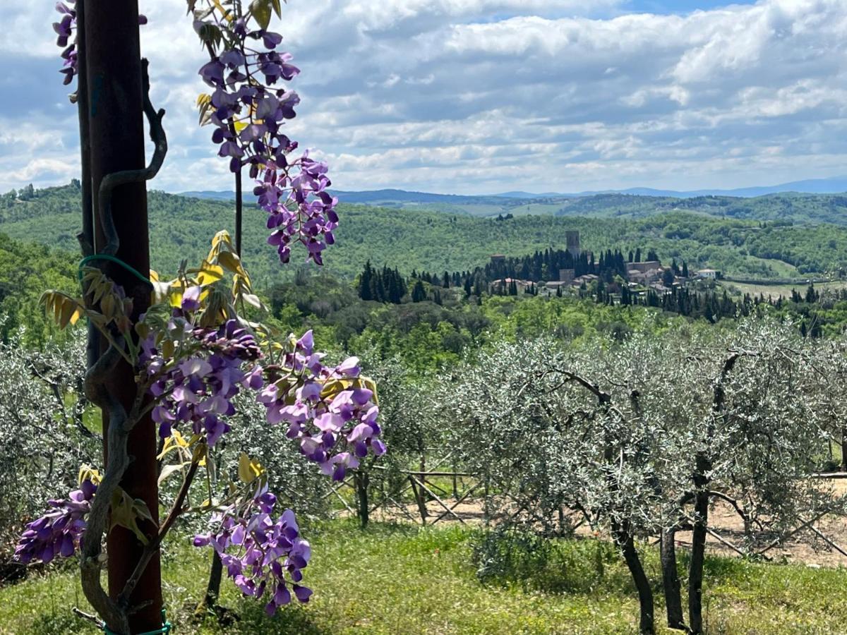 Il Fiorino Di Badia Apartment Badia A Passigano