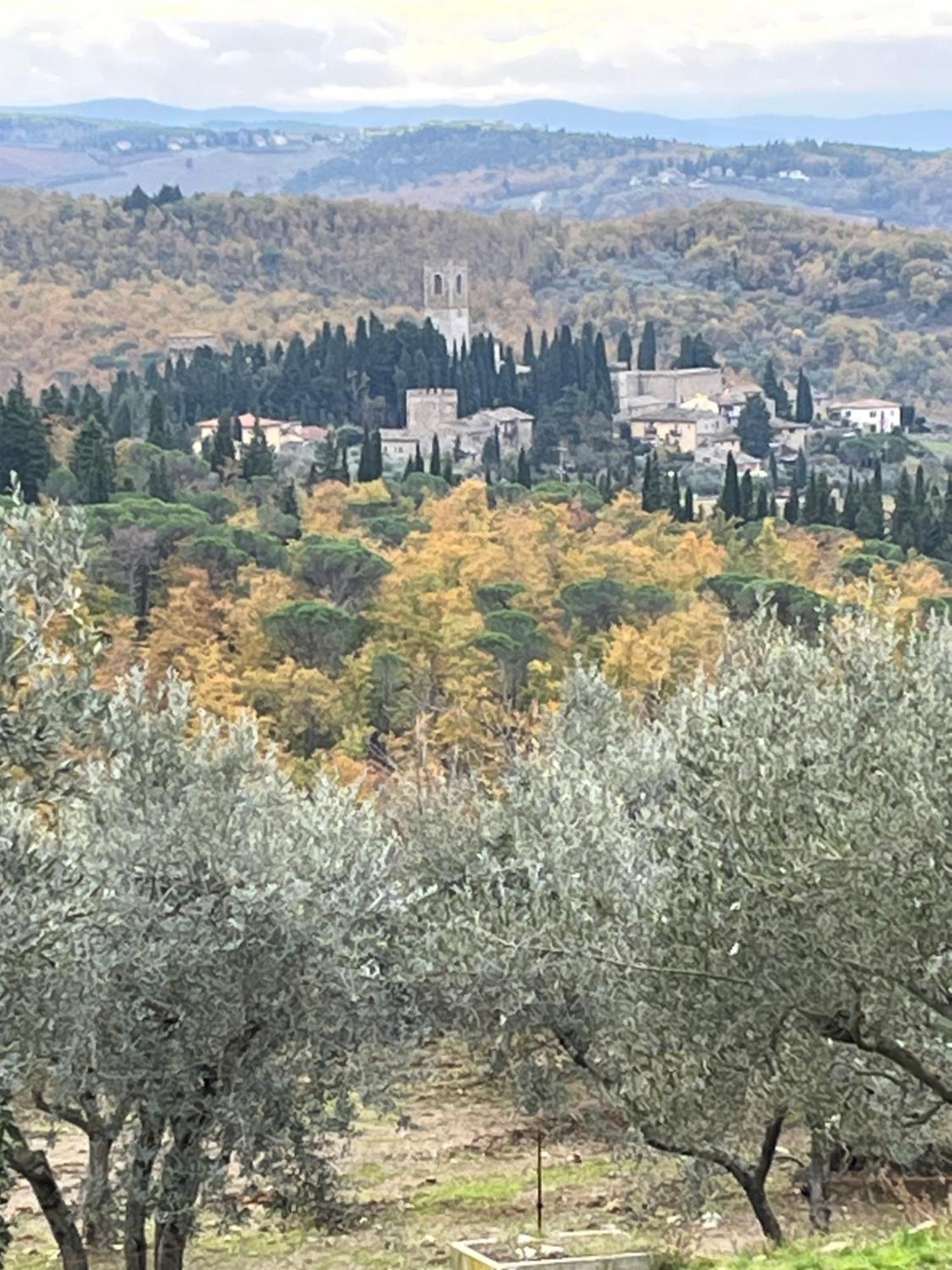 Il Fiorino Di Badia *
