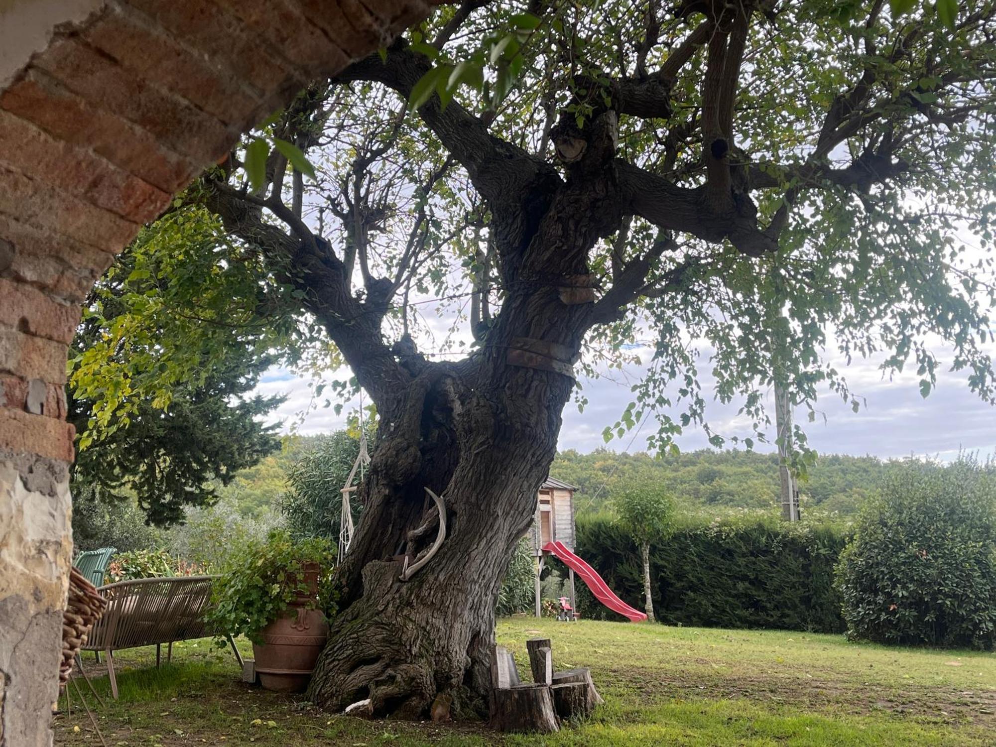 Appartement Il Fiorino Di Badia Badia A Passigano